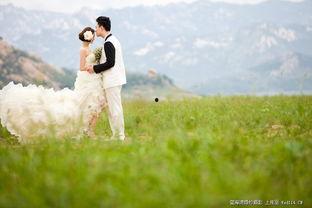 青青青草国产免费观看,国产免费观看,绿色生态影视盛宴