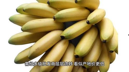国产抖音 第4页