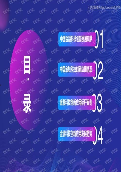 国产51页,揭秘中国科技发展的新篇章